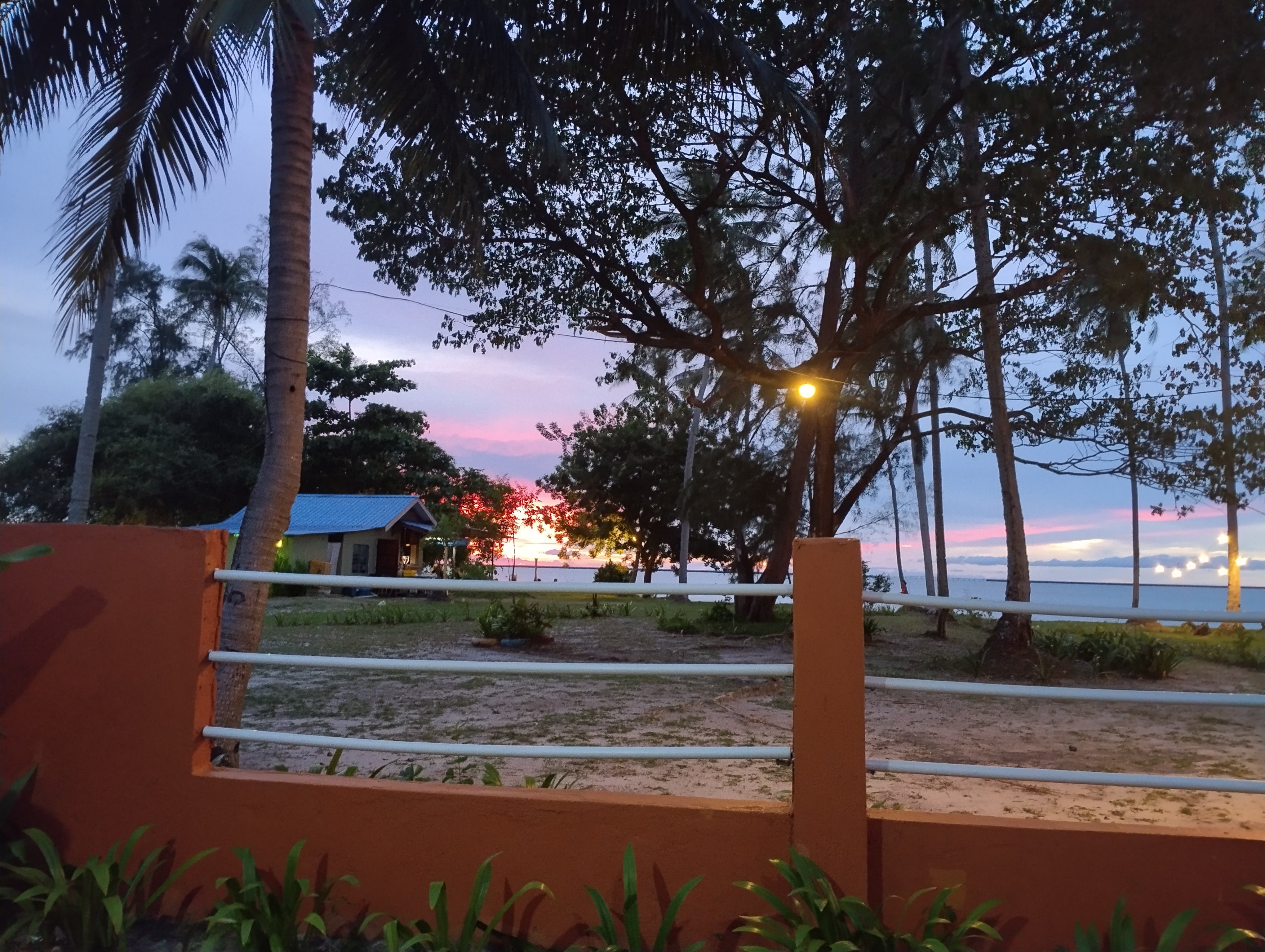 sunset