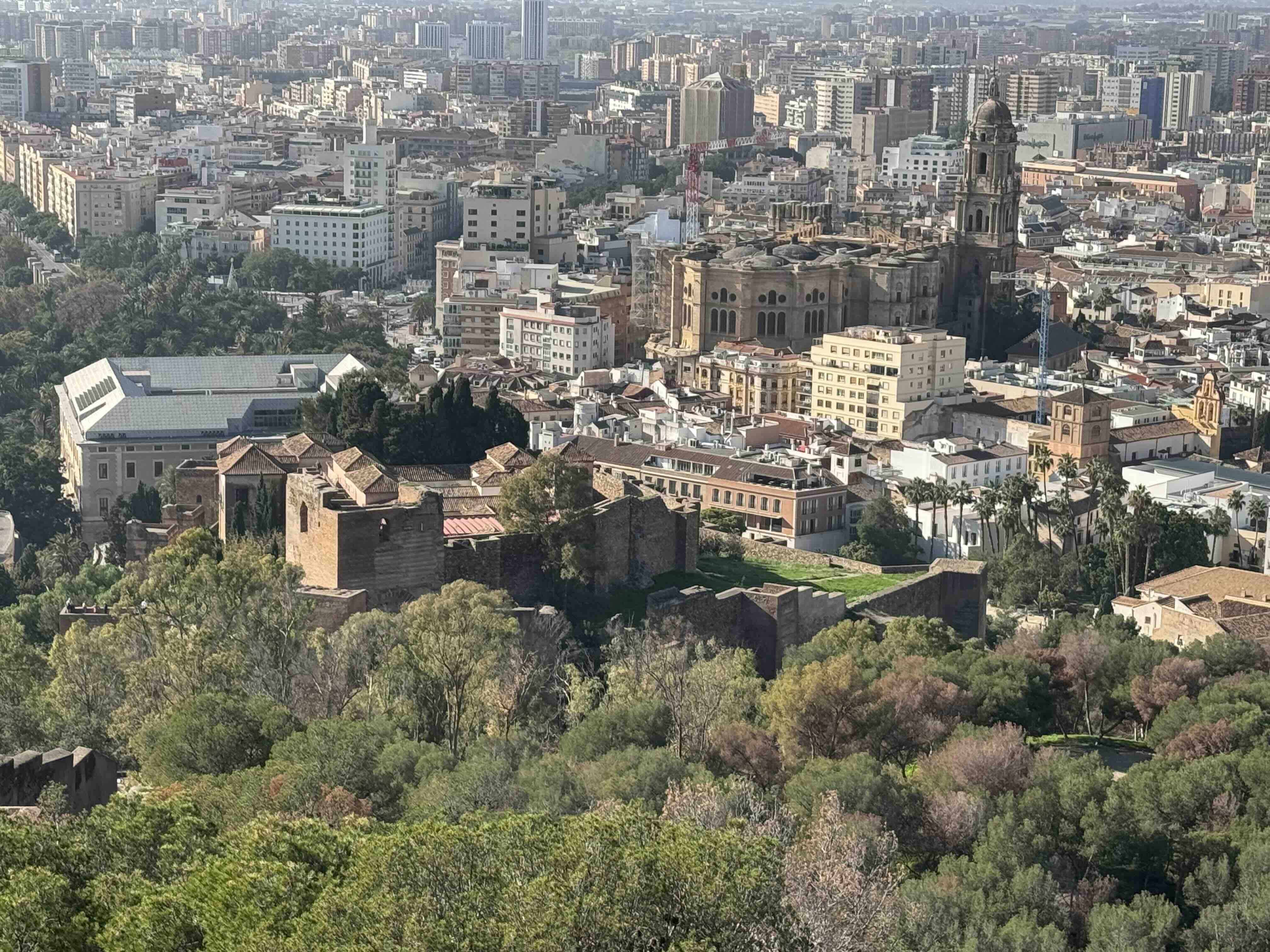 Alcazaba from above